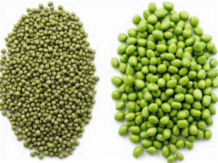 Are pigeon peas and lentils the same?