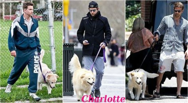 Bradley Cooper Pets
