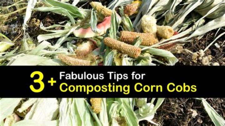 Can I put corn cobs in my compost pile?