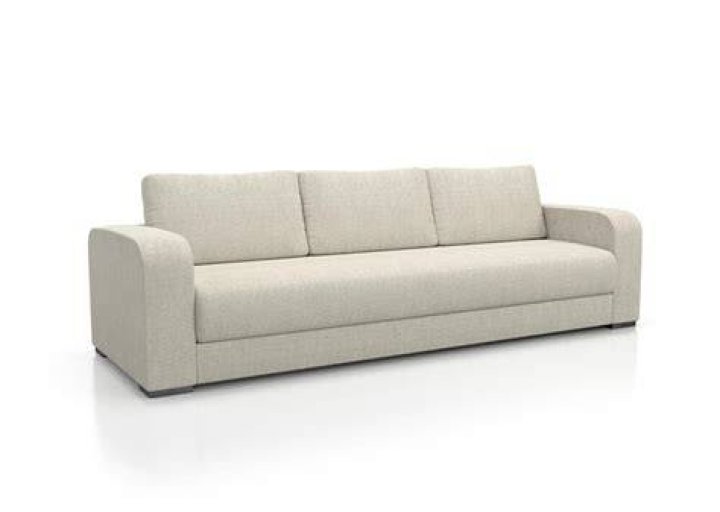 Can ticks live on couches?