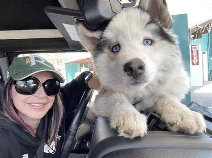 Cynthia Rothrock Pets