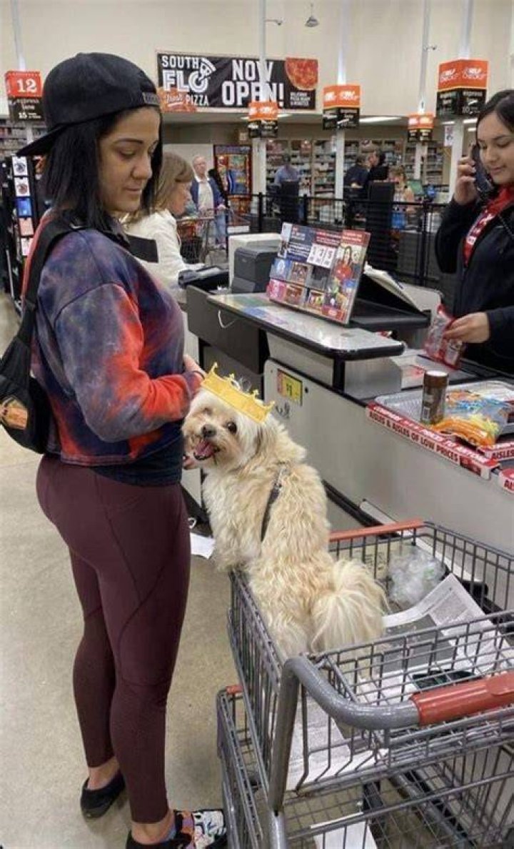 Dakota Kai Pets