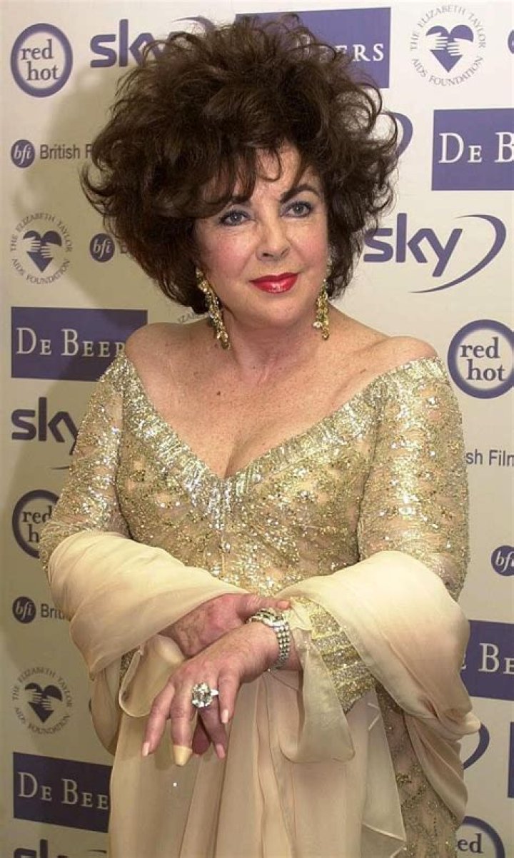 Dame Elizabeth Taylor attends the Macy's Passport 2008 Gala held at Barker Hangar