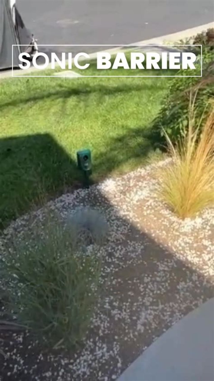 Do ultrasonic cat repellents work?