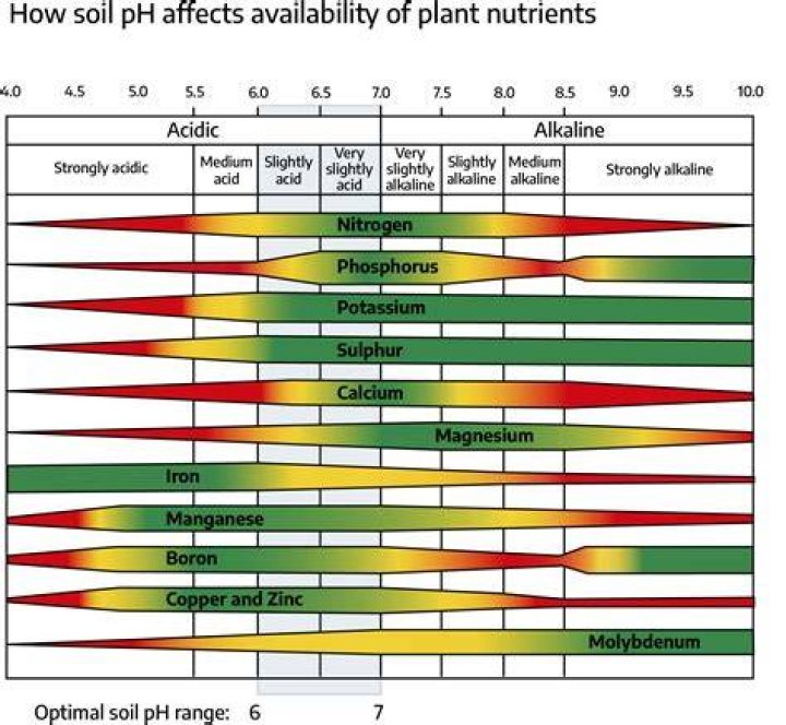 Does calcium raise soil pH?