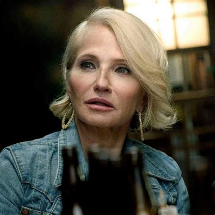 8 Shows Like Ray Donovan to Watch if You Like Ray Donovan 8 Ellen Barkin, Animal Kingdom