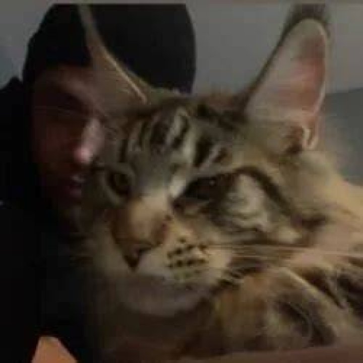 Ethan Cutkosky Pets
