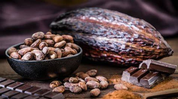 How many cocoa beans does it take to make a chocolate bar?