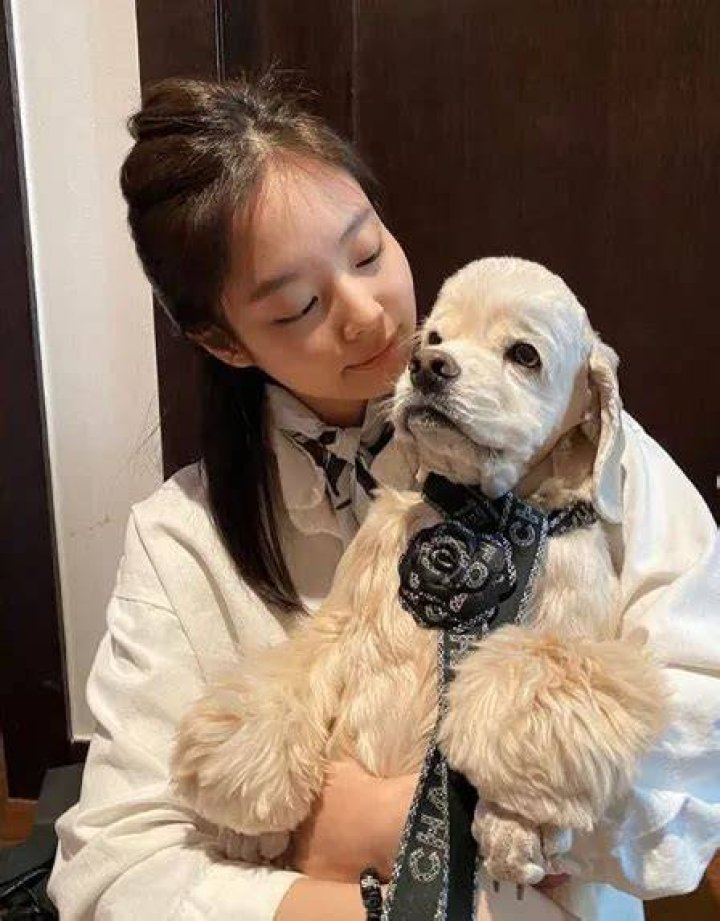 Jennie Kim Pets