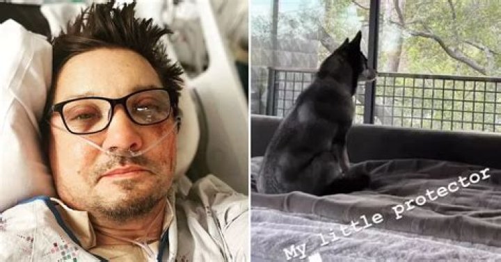 Jeremy Renner Pets