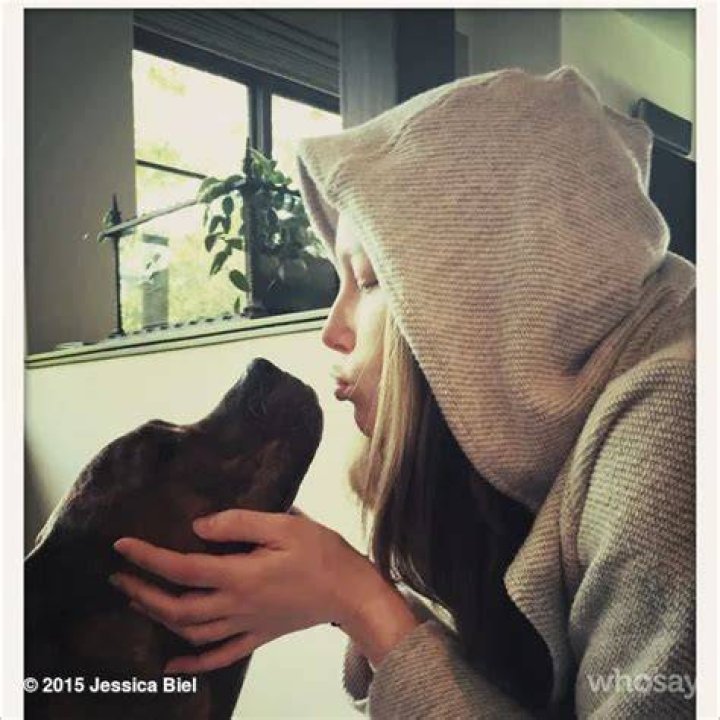Jessica Biel Pets
