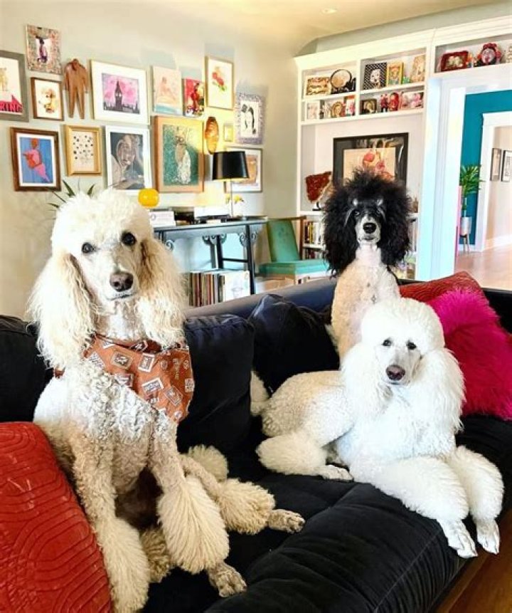Josh Freese Pets