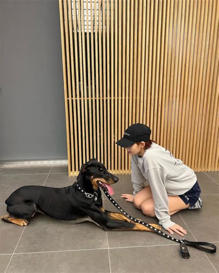 Lalisa Manoban Pets