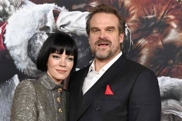 Lily Allen and David Harbour have reportedly split up