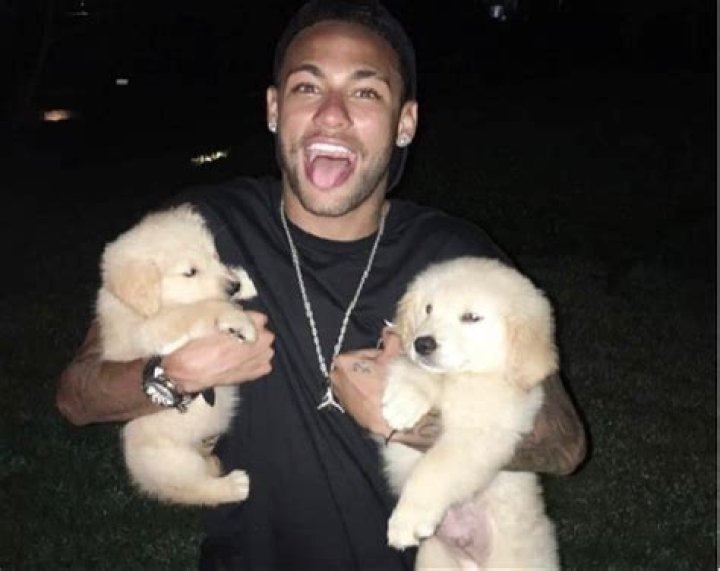 Neymar Pets