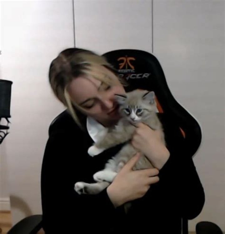 Nihachu Pets