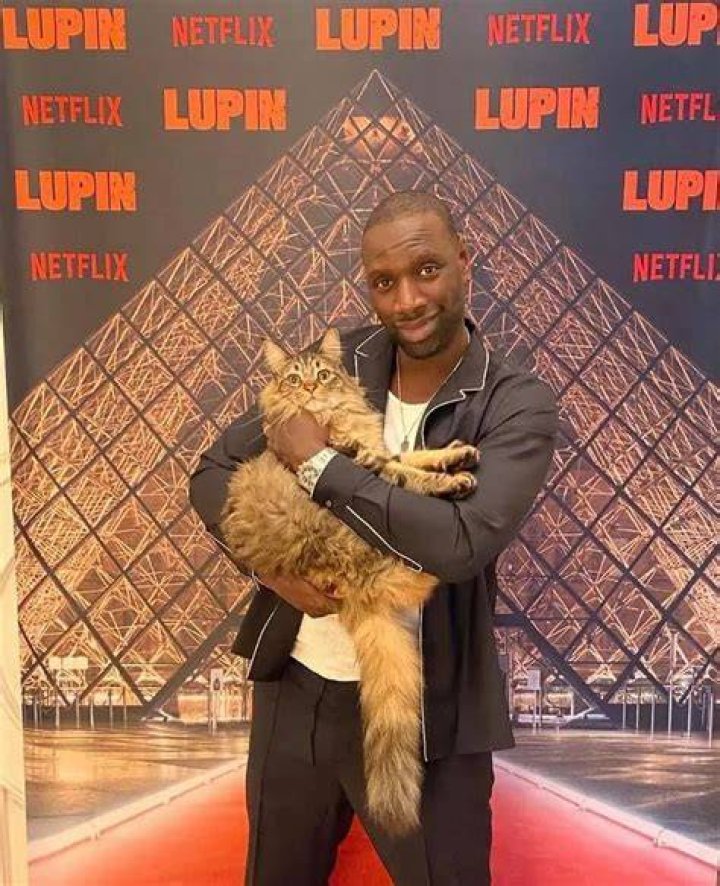 Omar Sy Pets