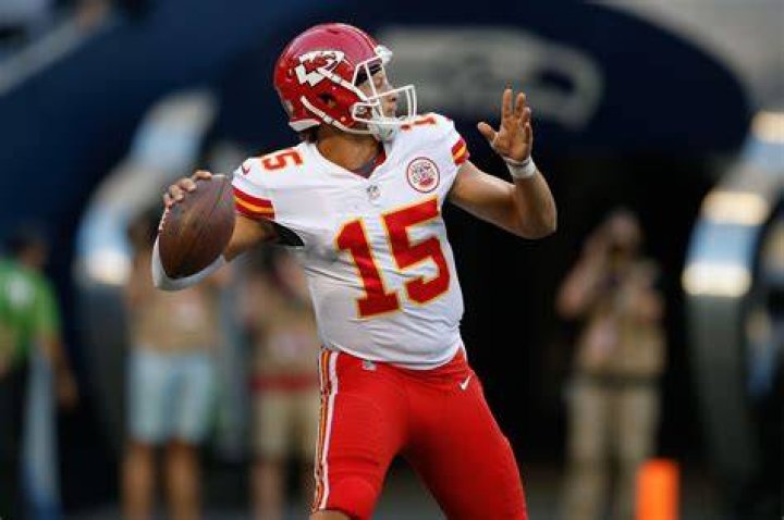 Patrick Mahomes II's pet Steel & Silver