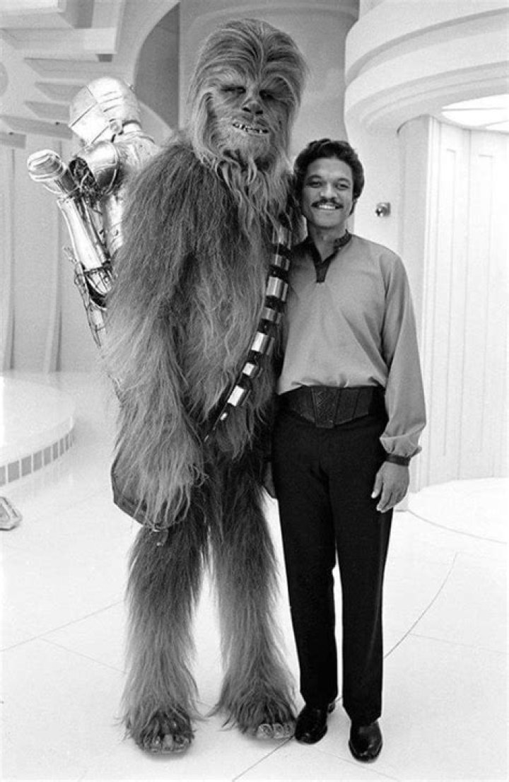 Peter Mayhew as Chewbacca in Star Wars 7