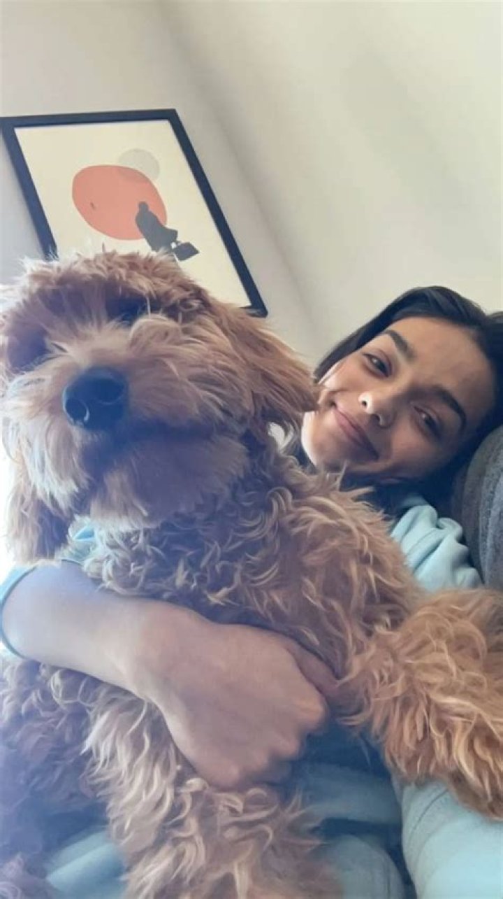 Rachel Zegler Pets