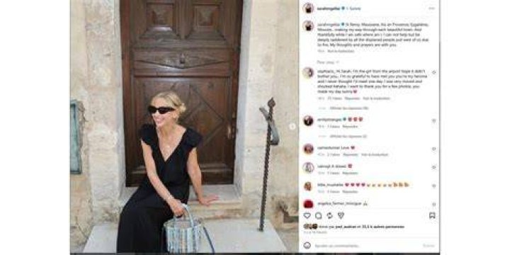 Sarah Michelle Gellar's pet Kumi and Sato