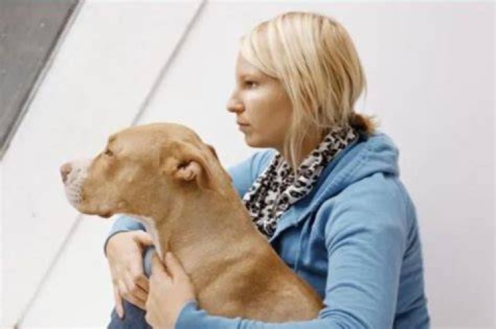 Sia (Singer) Pets