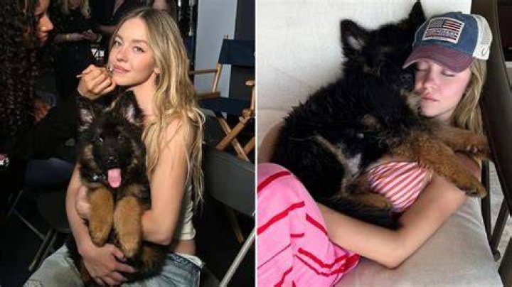 Sydney Sweeney Pets