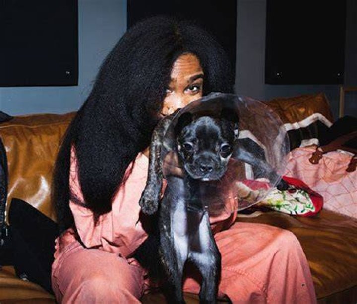 SZA Pets