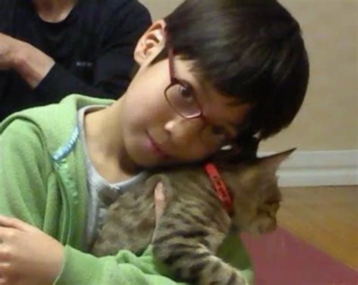 Taehyun Pets