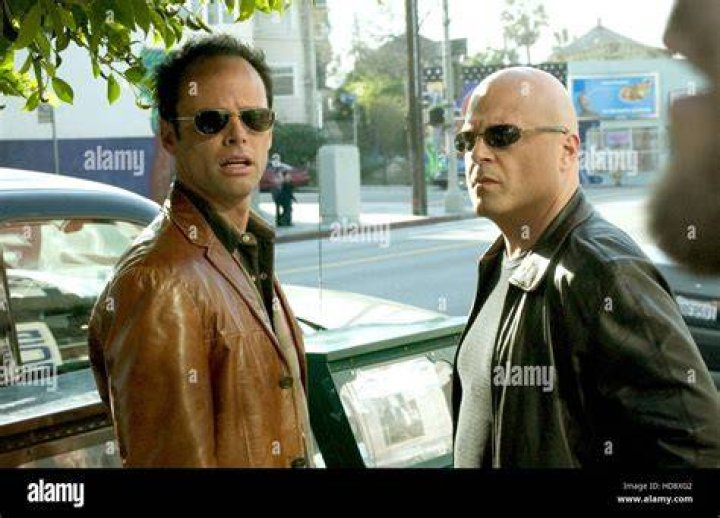 8 Shows Like Ray Donovan to Watch if You Like Ray Donovan 6 Walton Goggins and Michael Chiklis, The Shield