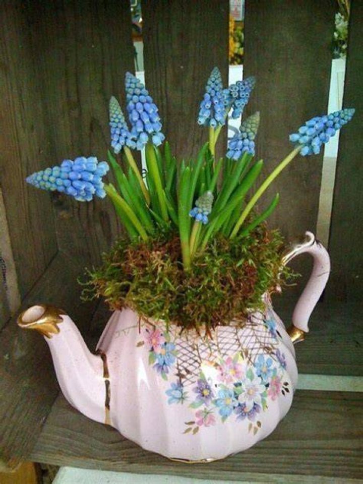 What can you do with old teapots?