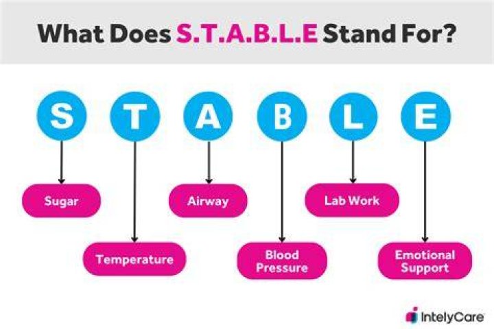 What does the acronym stable stand for in nursing?