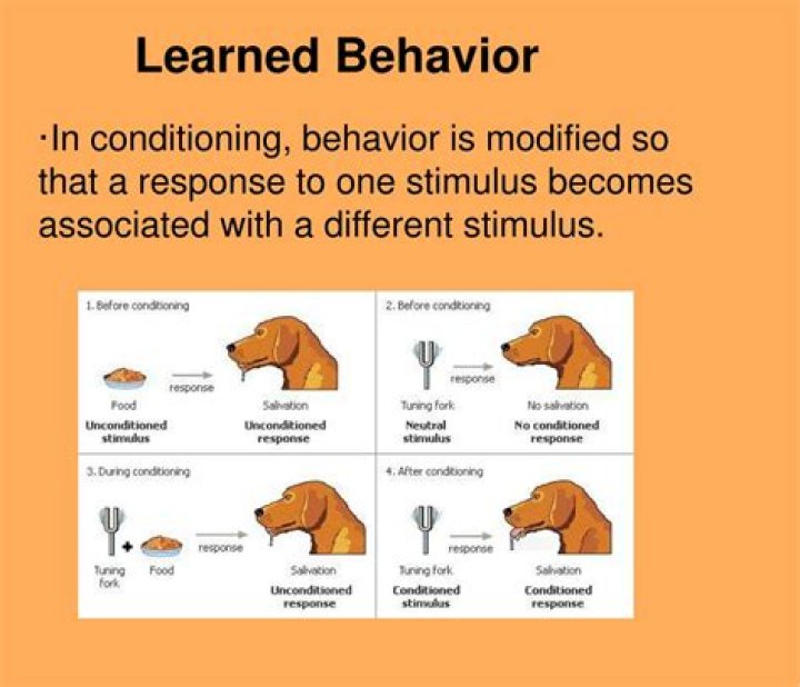 What is an example of learned behavior in animals?