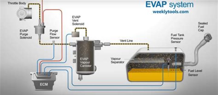 Where is the EVAP system located?