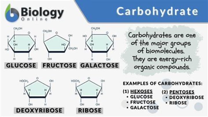 Which molecule is not a carbohydrate mastering biology?