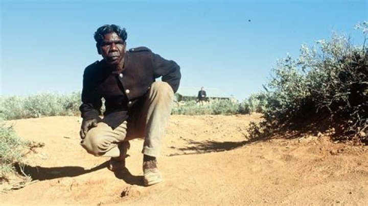 Who is Moodoo Rabbit Proof Fence?